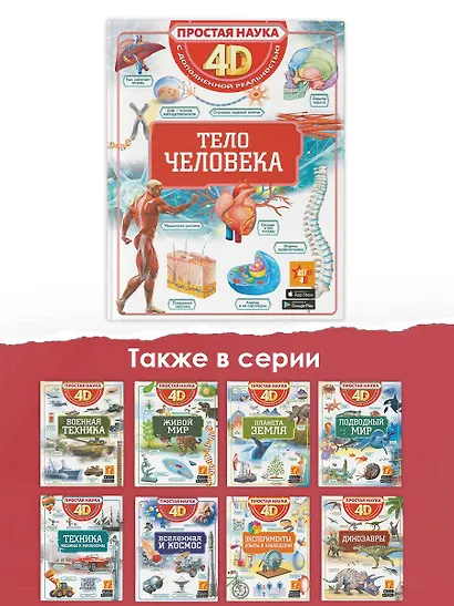 Тело человека - фото 8