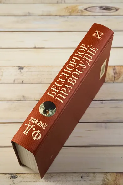 Бесспорное правосудие - фото 9