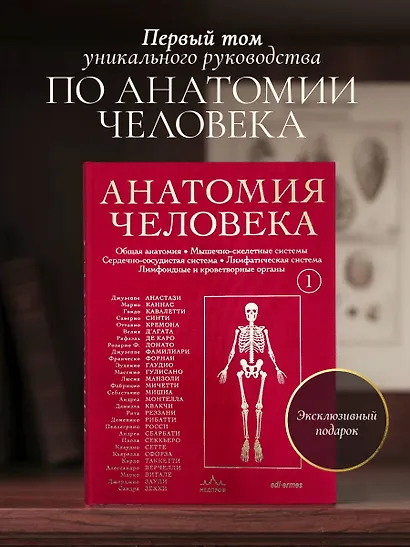 Анатомия человека. Эксклюзивное издание с 50-летней историей. Том 1 - фото 4