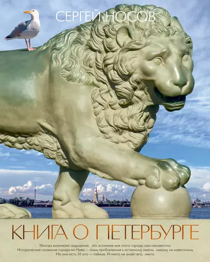 Книга о Петербурге - фото 1