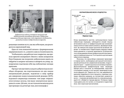 Мозг. Ваша личная история - фото 8