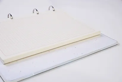 Тетрадь общая на кольцах «Золотой папоротник», А5, 100 листов - фото 3