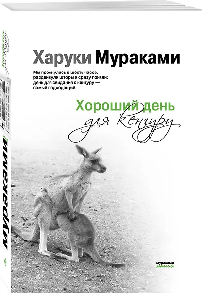 Хороший день для кенгуру - фото 3