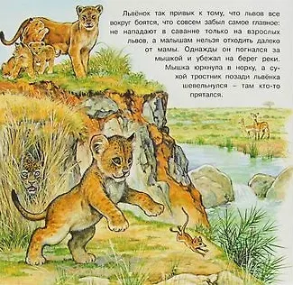 Приключения львёнка - фото 2
