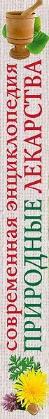 Природные лекарства. Современная энциклопедия - фото 3