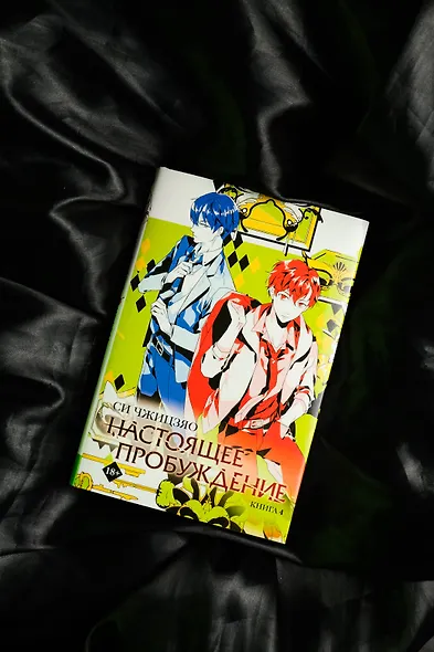 Настоящее пробуждение. Real Awakening. Книга 4 - фото 6