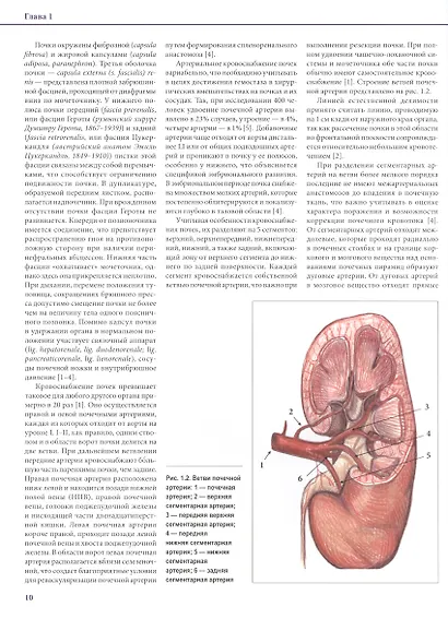 Хирургия почечных сосудов - фото 5