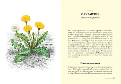 Наедине с природой. Комплект из 3-х книг с шоппером - фото 12