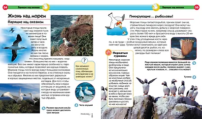 Море - фото 8