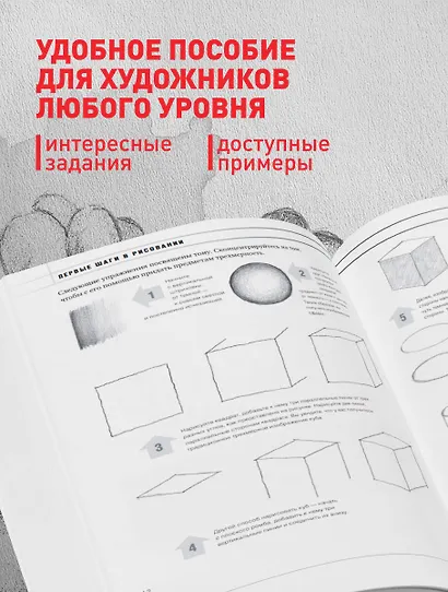 Учимся рисовать за 6 недель. Материалы, техники, идеи - фото 5