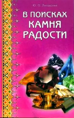 В поисках камня радости (мягк). Липовский Ю. (Диля) - фото 1