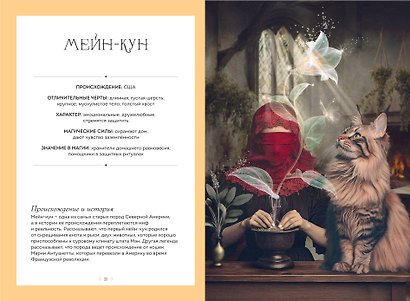 Кошки. Удивительные породы и их секреты - фото 5