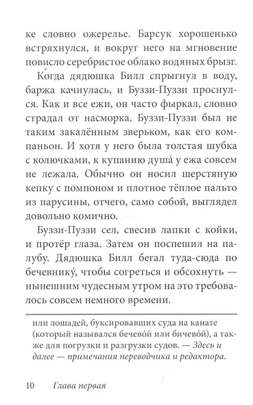 Билл Барсук и пираты - фото 3