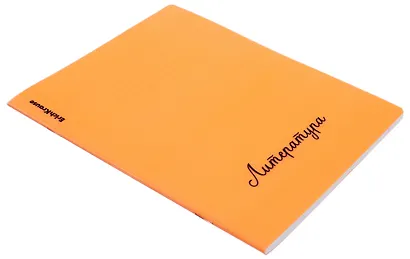 Тетрадь 48л лин. ТЕМА "Neon. Литература"  пласт.обл., ассорти, ErichKrause - фото 2