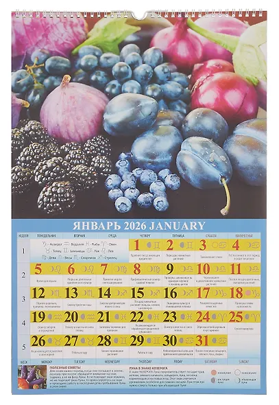 Календарь 2026г 320*480 "Садово-огородный лунный календарь" настенный, на спирали - фото 2