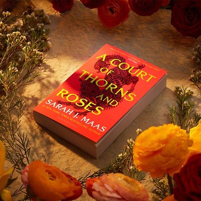 A Court of Thorns and Roses Sarah J. Maas Королевство шипов и роз Сара Дж Маас / Книги на английском языке - фото 4