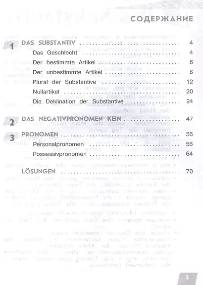Немецкий язык. Грамматика в таблицах. Артикль и падежи имен существительных. Учебное пособие для начинающих - фото 2