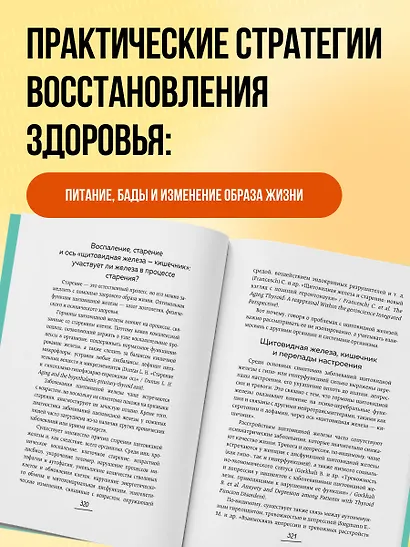Ось щитовидка - кишечник. Как вылечить щитовидную железу, улучшив состояние кишечной микробиоты - фото 8
