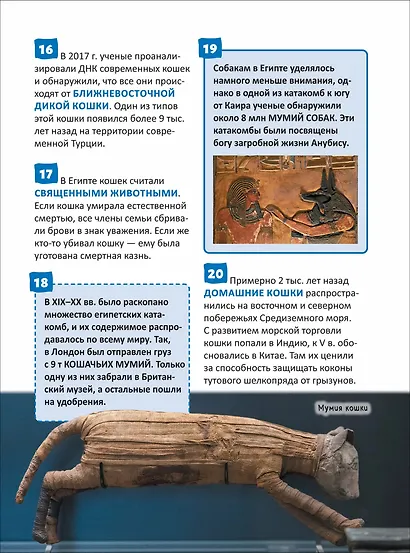 Кошки и собаки. Энциклопедия российского школьника - фото 3