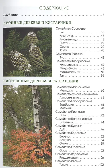 Деревья и кустарники парков средней полосы России. Атлас-определитель - фото 2