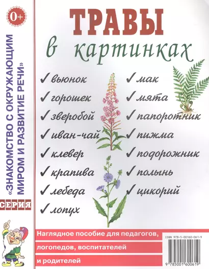 Травы в картинках. Наглядное пособие для логопедов, педагогов, воспитателей и родителей - фото 1