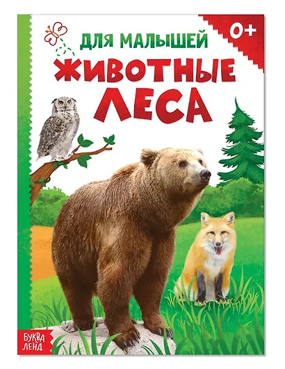 Животные леса для малышей - фото 1