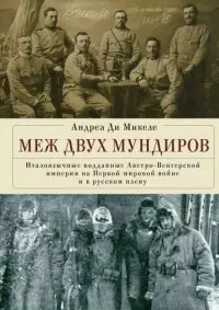 Меж двух мундиров. Италоязычные подданные Австро-Венгерской империи на Первой мировой войне и в русском плену / А. Ди Микеле, пер. и науч. ред. М. Г. Талалая. - фото 1