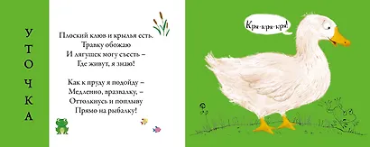 Перевертыши. Домашние  животные. Картинки - половинки - фото 9