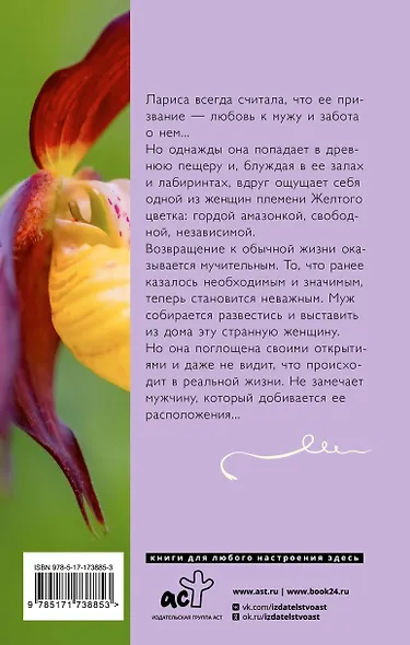 Венерин башмачок - фото 2