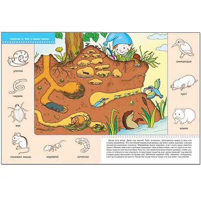 ШколаСемиГномов Развитие и обуч.детей от 2 до 3 лет Кто где живет? - фото 3