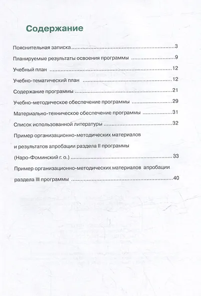 Дополнительная образовательная программа "Предпринимательский паркур" - фото 2