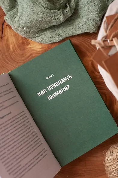 Шаманы северных народов России. Железные кости, духи-помощники и полеты между мирами - фото 11