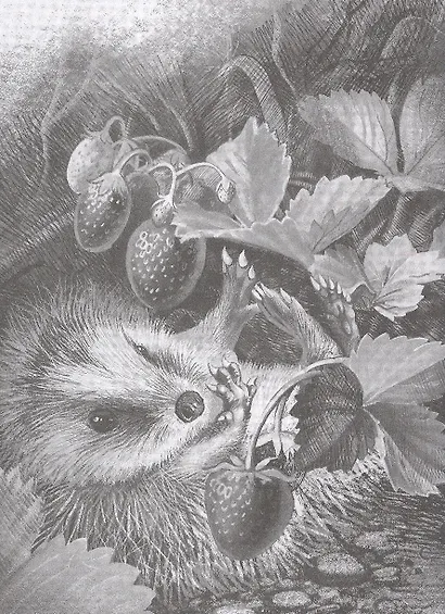 Животинки из Паутинки - фото 6