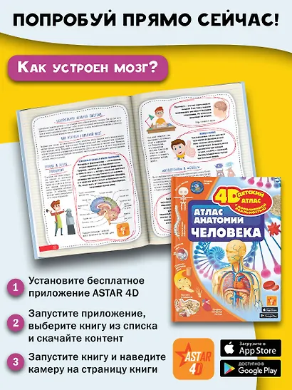 Атлас анатомии человека - фото 7