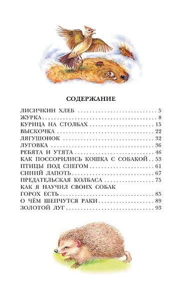 Лисичкин хлеб - фото 8