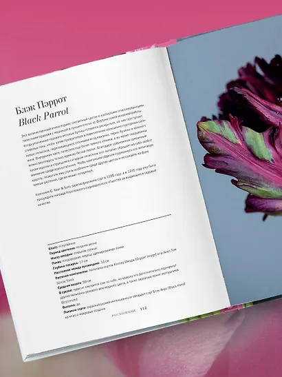 Тюльпаны. Великолепные цветы для дома и сада - фото 11