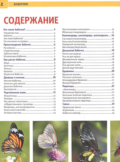 Бабочки. Энциклопедия с развивающими заданиями - фото 2