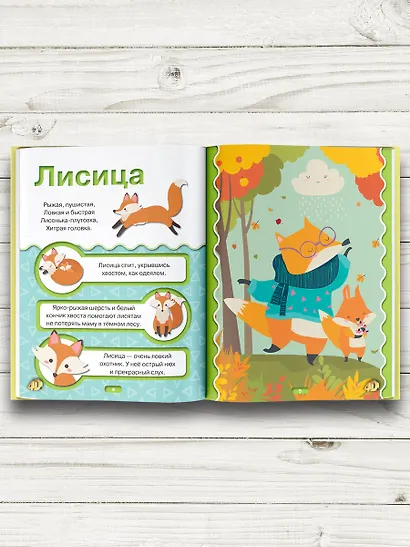 Животные 4D - фото 4