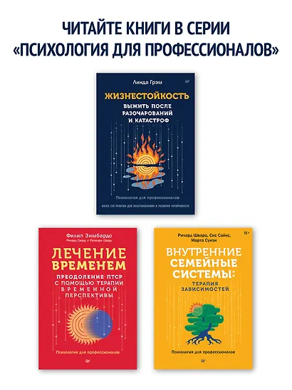 Внутренние семейные системы. Терапия зависимостей - фото 12