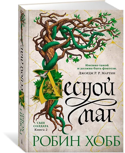 Сын солдата. Книга 2. Лесной маг - фото 2