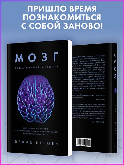 Мозг. Ваша личная история - фото 6