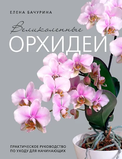 Великолепные орхидеи. Практичное руководство по уходу для начинающих - фото 1
