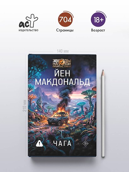 Чага - фото 4