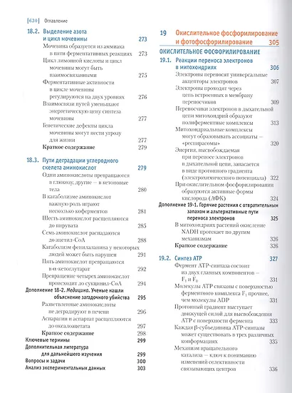 Основы биохимии Ленинджера т.2 - фото 6