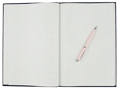 Книга учета А4 96л кл, офсет, глянц.лам., книжн.переплет, Проф-Пресс - фото 2