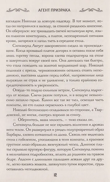 Агент призрака. Книга 2. Чёрная Панна - фото 3