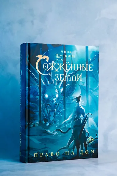 Сожженные земли. Право на дом - фото 8