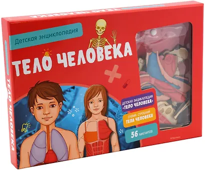 Тело человека. Детская энциклопедия (нов.оф.) (в коробке) - фото 2