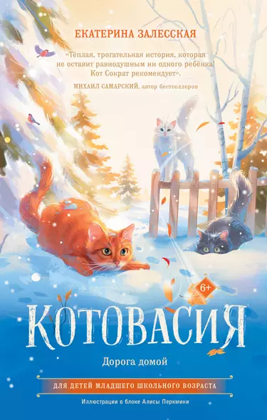 Котовасия. Дорога домой - фото 1