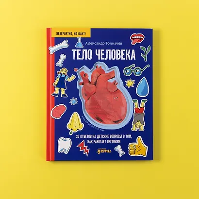 Тело человека. 34 ответа на детские вопросы о том, как работает тело - фото 6
